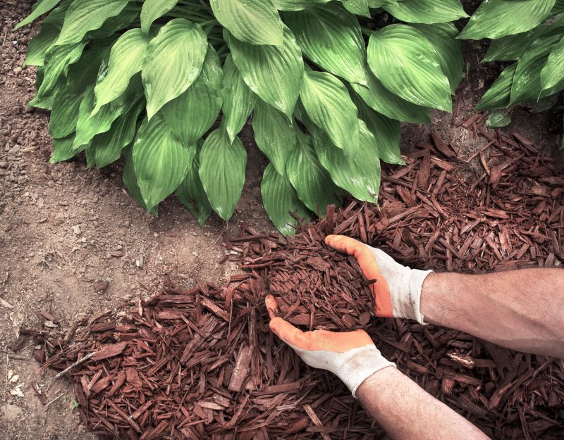 Mulching and Soil Amendments