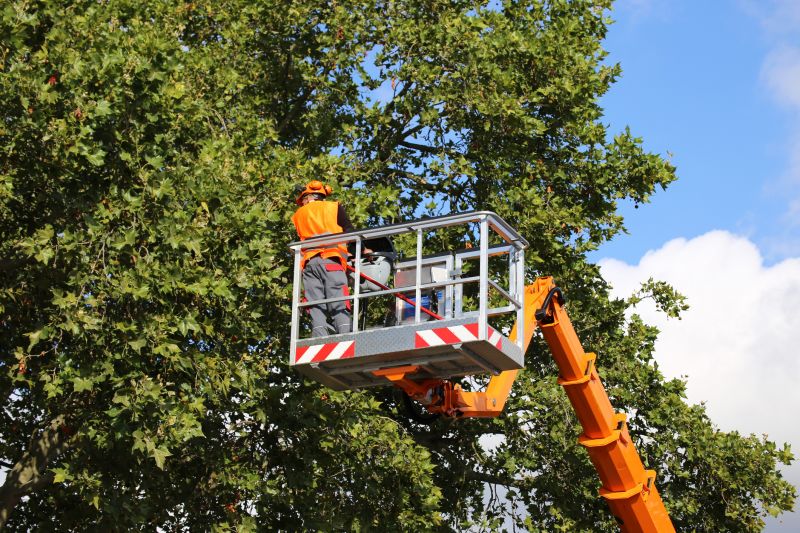 Specialty Tree Planting Services